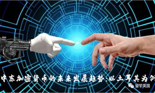 中东加密货币的未来发展趋势:以土耳其为例