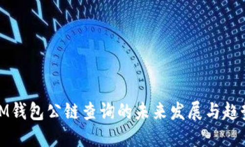 IM钱包公链查询的未来发展与趋势