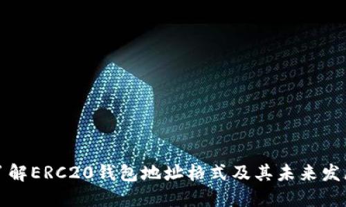 深入了解ERC20钱包地址格式及其未来发展趋势