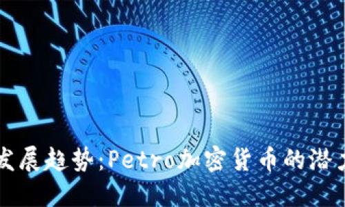 未来的发展趋势:Petro加密货币的潜力与挑战