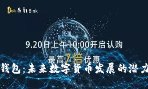 大大币钱包:未来数字货币发展的潜力与趋势