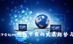 未来Ethereum钱包下载的发展趋势与选择指南