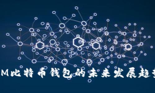 超级3M比特币钱包的未来发展趋势解析