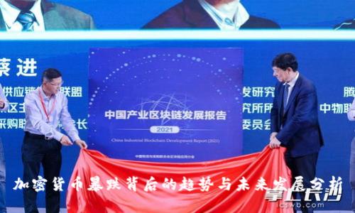 加密货币暴跌背后的趋势与未来发展分析