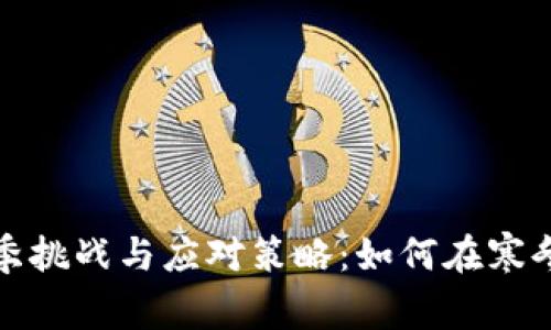 加密货币的冬季挑战与应对策略:如何在寒冬中生存与发展