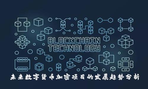 未来数字货币加密项目的发展趋势分析