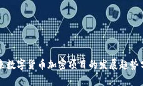 未来数字货币加密项目的发展趋势分析