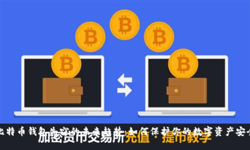 比特币钱包失窃的未来趋势：如何保护你的数字资产安全