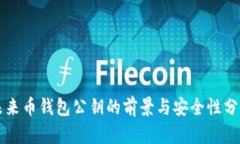 未来币钱包公钥的前景与安全性分析