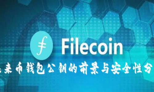 未来币钱包公钥的前景与安全性分析
