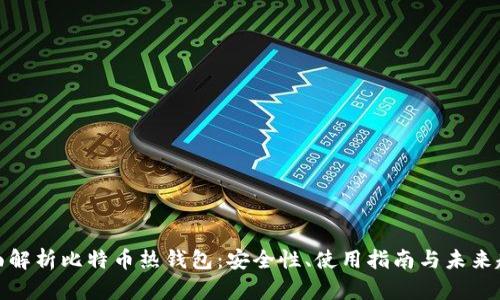 全面解析比特币热钱包：安全性、使用指南与未来趋势