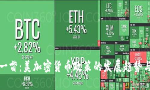未来一瞥:美加密货币政策的发展趋势与影响