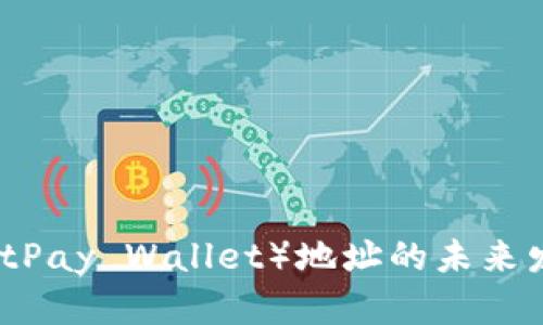 比太钱包(BitPay Wallet)地址的未来发展趋势解析