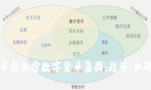 未来的中国加密数字货币集团:趋势、机遇与挑战