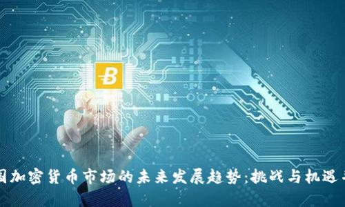 美国加密货币市场的未来发展趋势：挑战与机遇并存