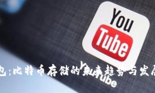 纸钱包：比特币存储的未来趋势与发展分析