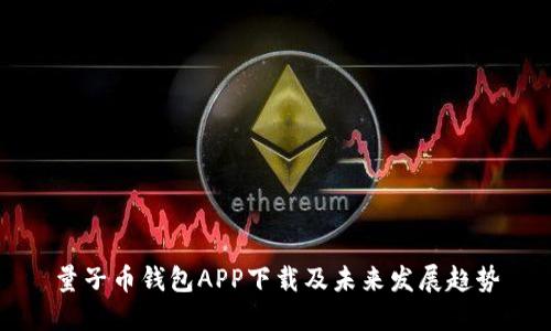 量子币钱包APP下载及未来发展趋势