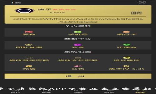 量子币钱包APP下载及未来发展趋势