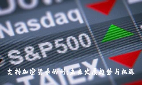 支持加密货币的州:未来发展趋势与机遇