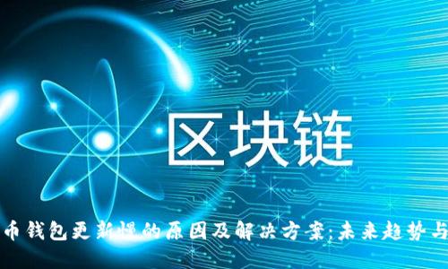 比特币钱包更新慢的原因及解决方案:未来趋势与发展