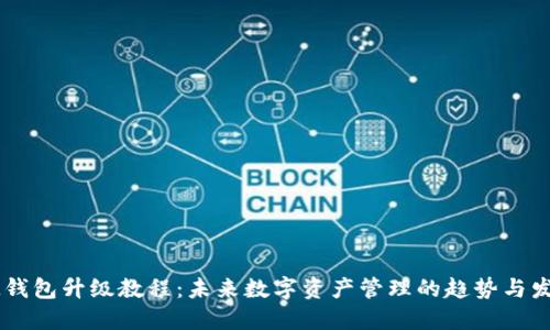 IM钱包升级教程:未来数字资产管理的趋势与发展