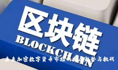 未来加密数字货币市场的发展趋势与挑战
