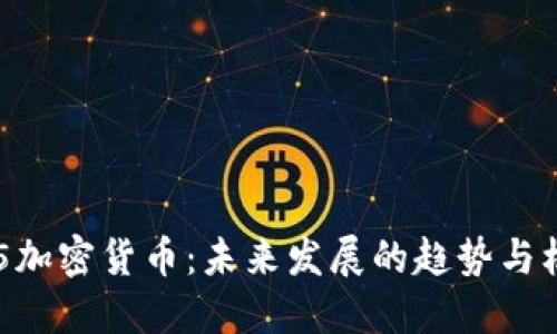 315加密货币：未来发展的趋势与机遇