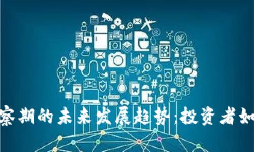 加密货币考察期的未来发展趋势：投资者如何把握机遇