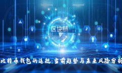 比特币钱包的违规：当前趋势与未来风险分析