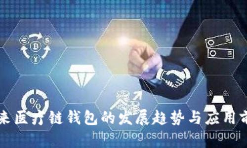 未来医疗链钱包的发展趋势与应用前景