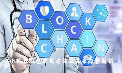 小狐狸钱包使用方法及未来趋势解析
