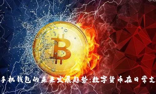 riaotiDash手机钱包的未来发展趋势:数字货币在日常支付中的崛起