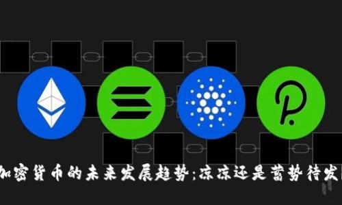 加密货币的未来发展趋势:凉凉还是蓄势待发?
