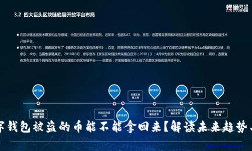 ### 数字钱包被盗的币能不能拿回来？解读未来趋势与防护措施