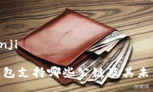 bianji/bianji
imToken钱包支持哪些公链及其未来发展趋势
