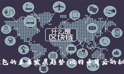 中本聪钱包的未来发展趋势：比特币背后的秘密与潜力