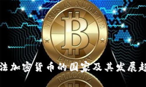 全球非法加密货币的国家及其发展趋势分析