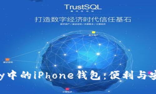 如何使用Apple Pay中的iPhone钱包:便利与安全的未来支付趋势
