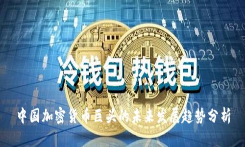 中国加密货币巨头的未来发展趋势分析