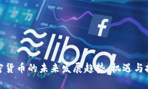 暴雪加密货币的未来发展趋势:机遇与挑战并存