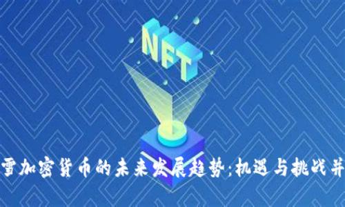 暴雪加密货币的未来发展趋势:机遇与挑战并存