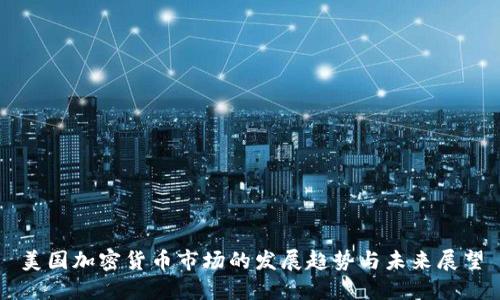 美国加密货币市场的发展趋势与未来展望