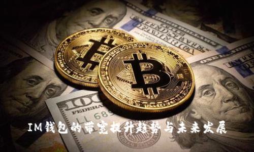 IM钱包的带宽提升趋势与未来发展