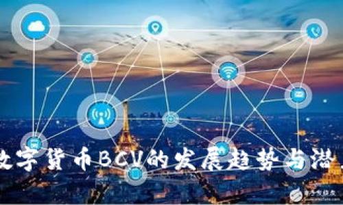 未来数字货币BCV的发展趋势与潜力分析