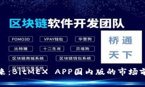 悸动真实的未来:BitMEX APP国内版的市场前景与发展趋势