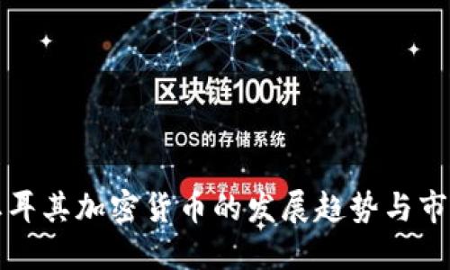 未来土耳其加密货币的发展趋势与市场机遇