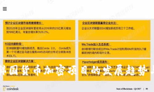 未来韩国货币加密项目的发展趋势与洞察