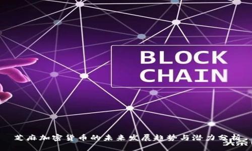 芝麻加密货币的未来发展趋势与潜力分析