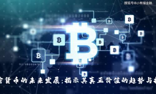加密货币的未来发展：揭示其真正价值的趋势与挑战