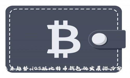 未来趋势：iOS版比特币钱包的发展潜力分析
